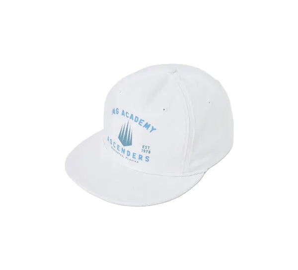 Vintage Flatbill Hat